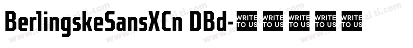 BerlingskeSansXCn DBd字体转换